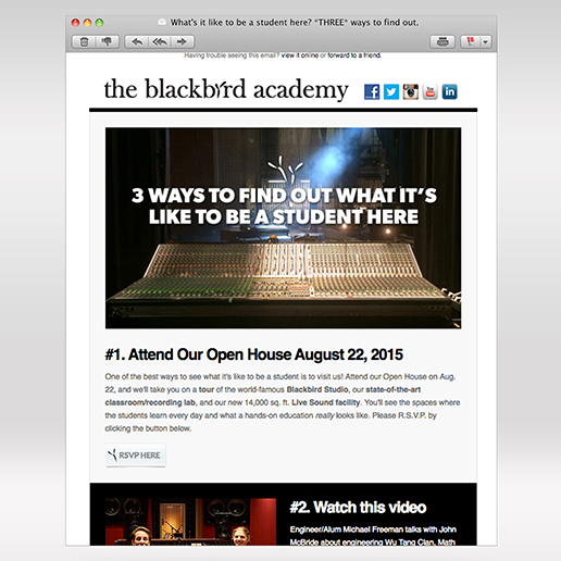 The Blackbird Academy email campaigns